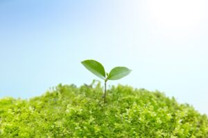 長崎県森林の守り人強化促進事業の公募開始のお知らせ(令和3年度）　長崎県