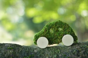 和歌山県貨物自動車運送業エコタイヤ導入支援補助金【第2弾】について【和歌山県】