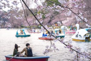 TOKYO応援事業！助成金最大１５００万円支給